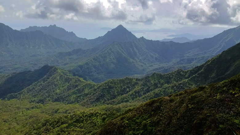 A view from the Poamoho Trail in Hawaii