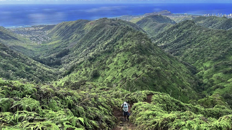 A lone hiker taking on the Wiliwilinui Ridge Trail in O'ahu