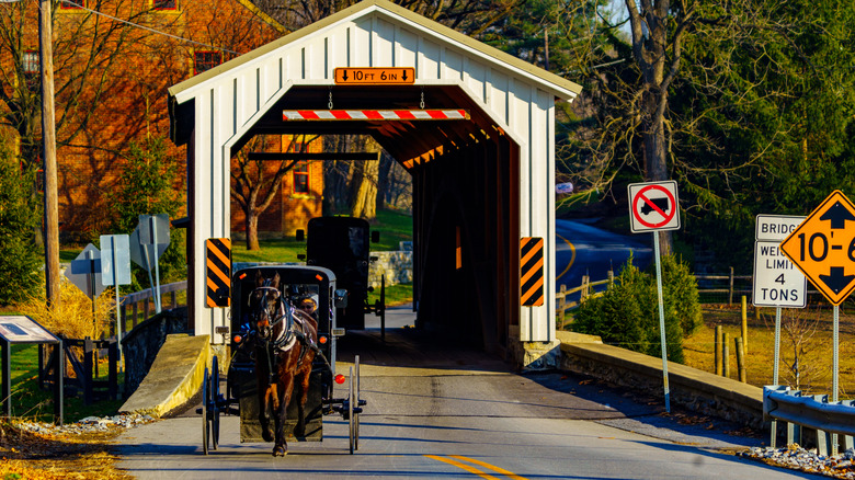 Horse and buggy on the road coming out of a covered bridge