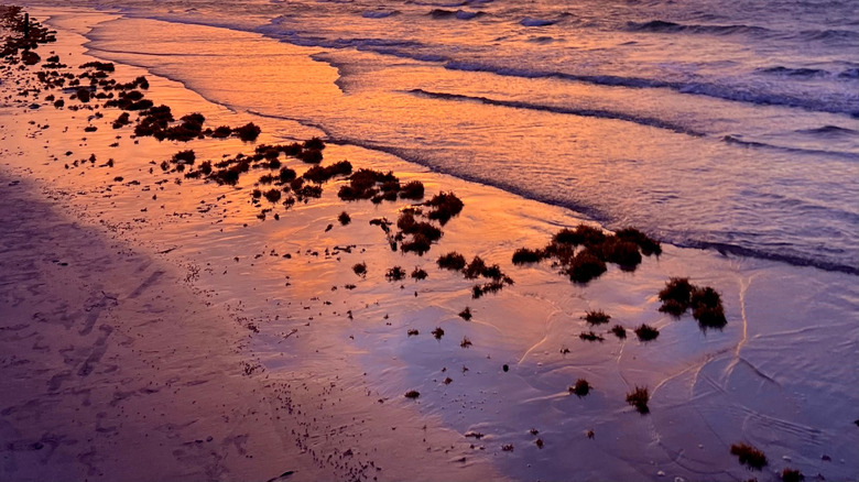 Texas Gulf Coast at sunrise