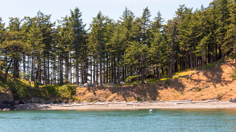 Waterview campsites on San Juan Island