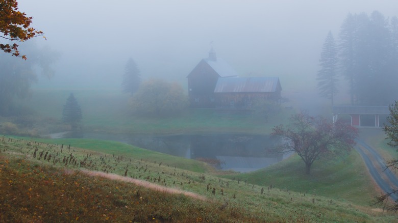 A farm in Sleepy Hollow covered in fog