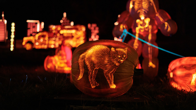 a lit carved pumpkin of a cat with more jack-o'-lanterns in the background
