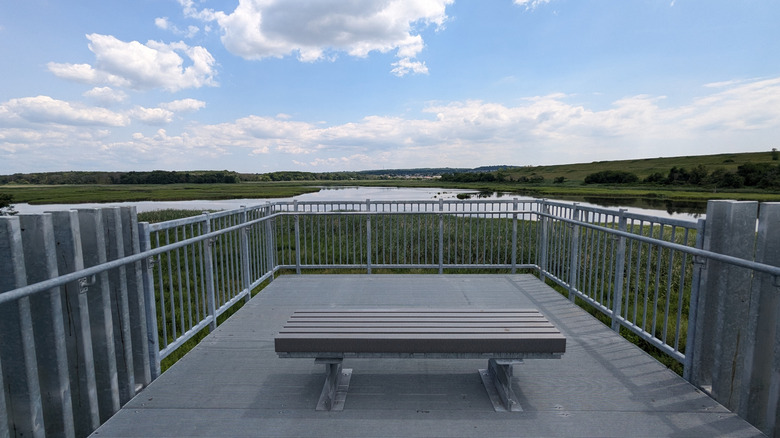 View from an observation platform in Freshkills Park, New York