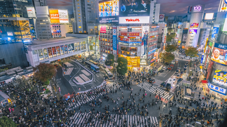 Shibuya crossing at night, walkway to mark city