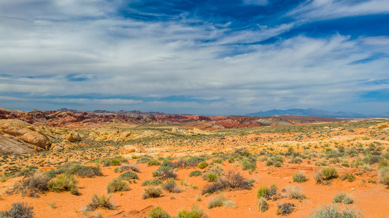Rocky desertscape lined with a bright blue sky