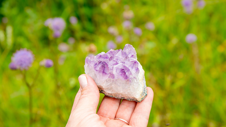 Hand holding a purple geode in a green garden