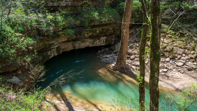An aquamarine pond in the middle of green woods along a rocky mountainous wall
