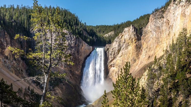 Lower Falls in Yellowstone National Park, Wyoming