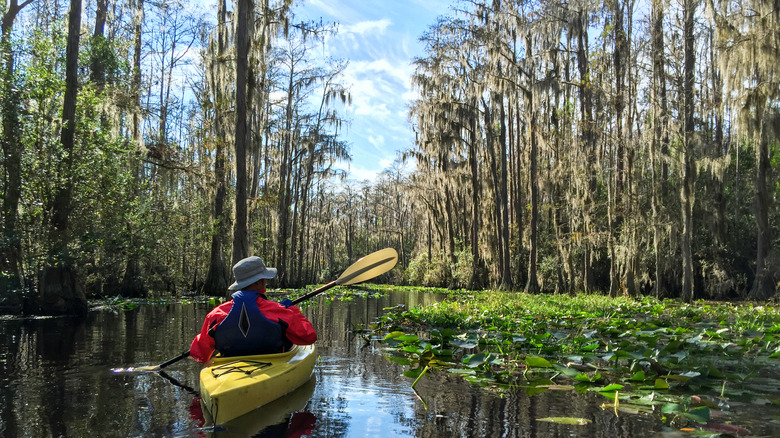 Georgia kayakers in dark marshy river