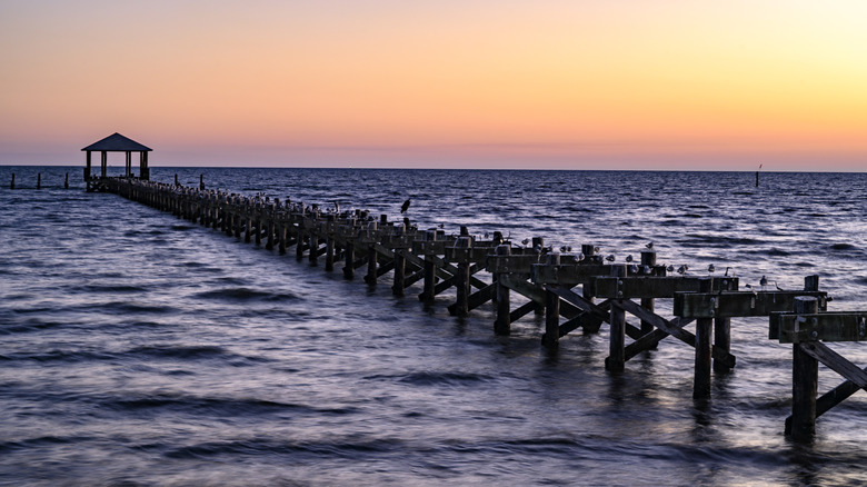 Missisippi coastal water, the sound