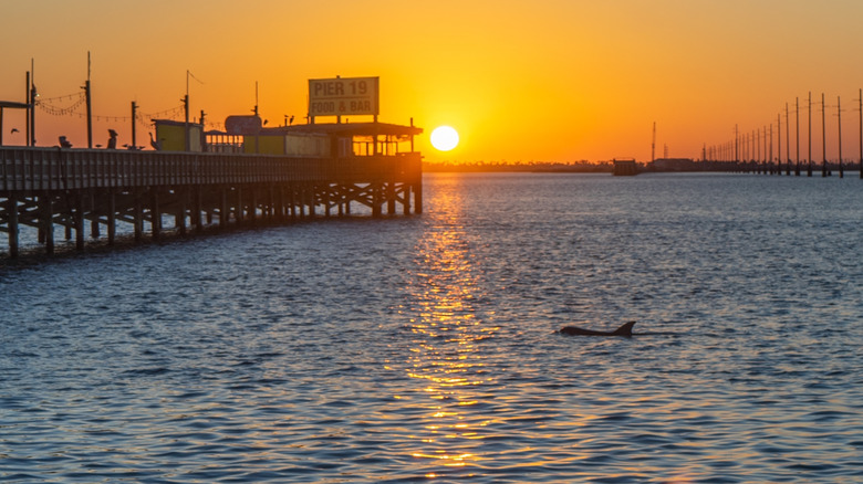 South Padre Island at sunset with a dolphin surfacing