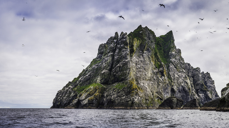 Bird flying over the rugged pointy mountains of St. Kilda World Heritage Site in Scotland