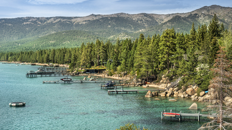 View of docks and boats backed by forest on Lake Tahoe
