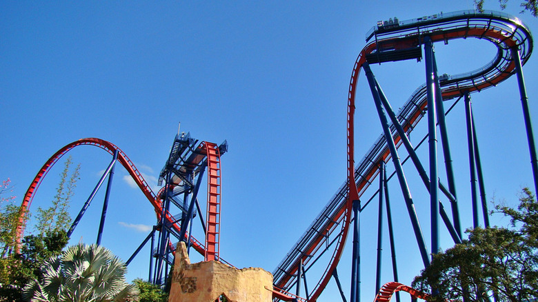 SheiKra at Busch Gardens Tampa Bay.