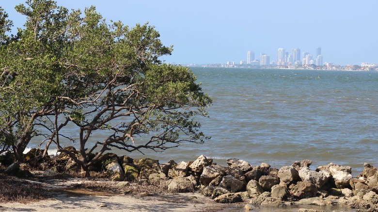 Picnic Island Park in Tampa, Florida.