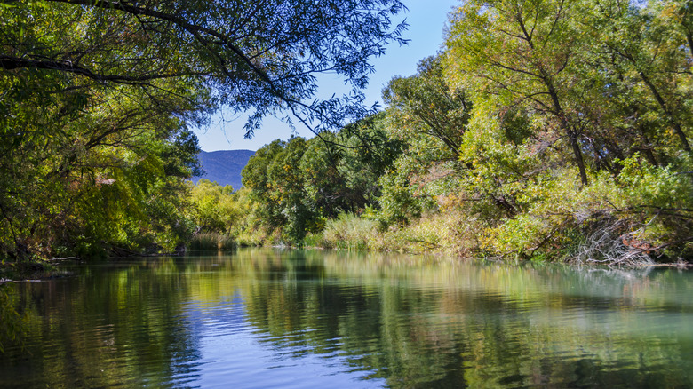 The Verde River flowing through Verde Valley in Camp Verde