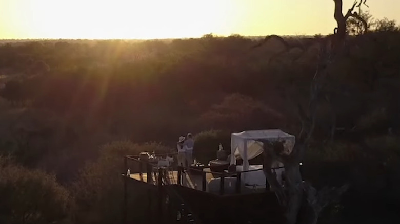 Lion Sands Treehouse, South Africa