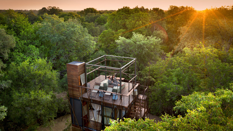 Treehouse at Ngala Game Reserve
