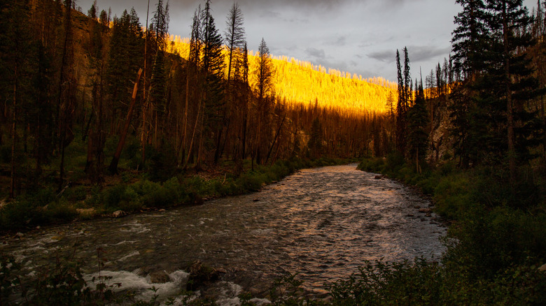 Sunrise over the Middle Fork on the Salmon River
