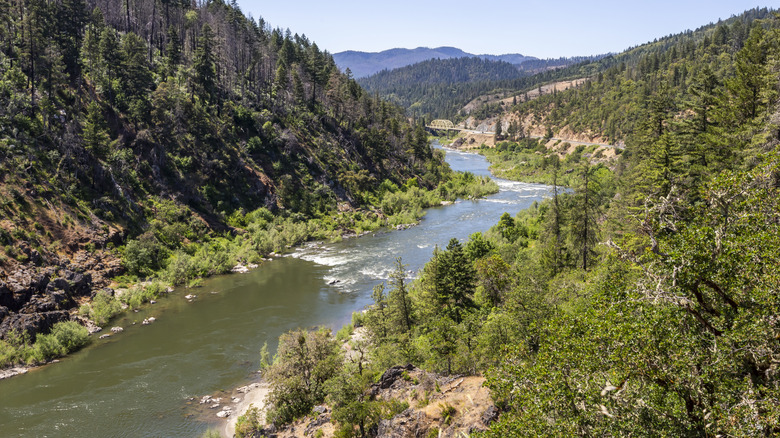 The Rogue River in Oregon, surrounded by greenery and lush cliffs