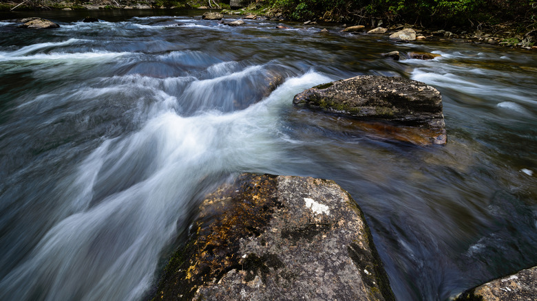 Rapids in a river rushing over large boulders