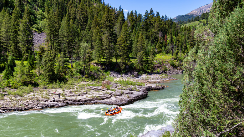 Large river rapids and a small raft surrounded by evergreen trees