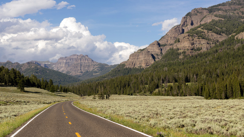 winding road leads into mountains