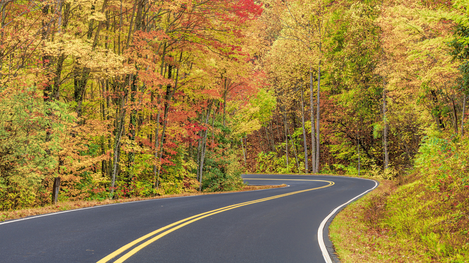 The Best Scenic Drives With Idyllic Nature Views In Great Smoky Mountains National Park