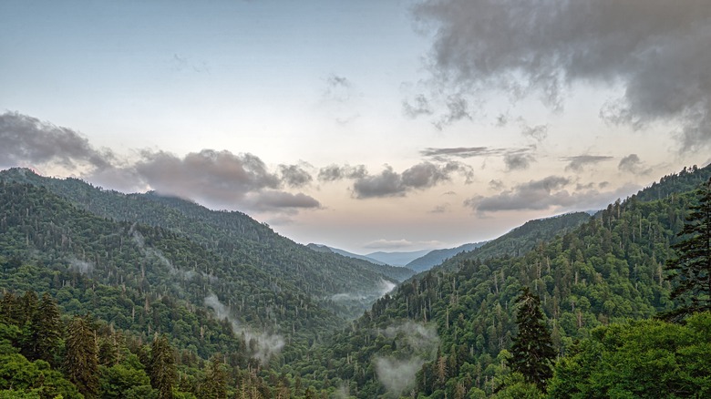 dawn light over the Great Smoky Mountains