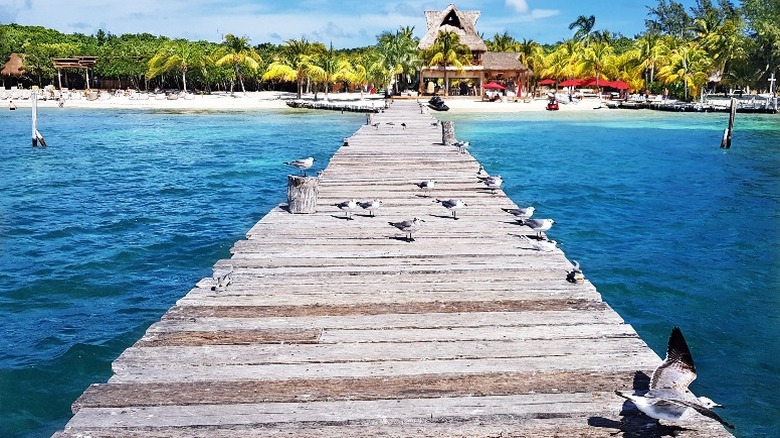 boardwalk in Isla Mujeres