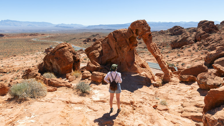 a woman enjoying the view from Elephant Rock in the Valley of Fire State Park
