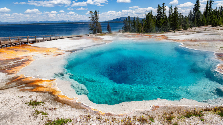 Yellowstone National Park hot thermal spring in West Thumb Geyser Basin area, Wyoming, USA