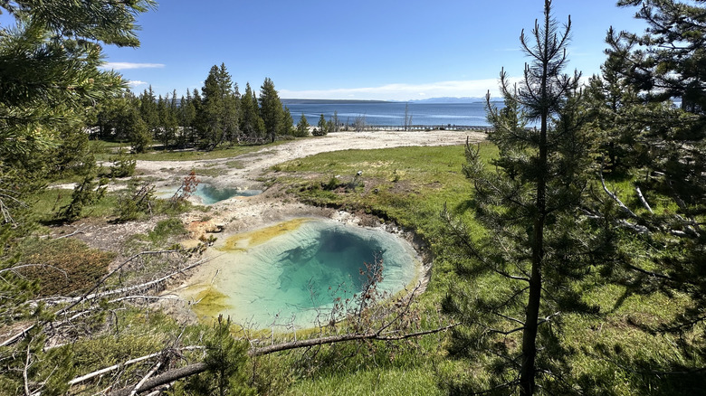 West Thumb Geyser Basin at Yellowstone National Park