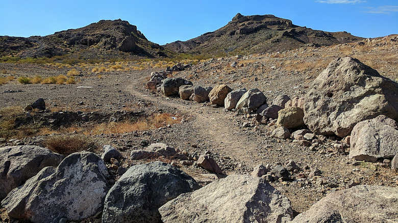 Wilderness at Sloan Canyon, Nevada