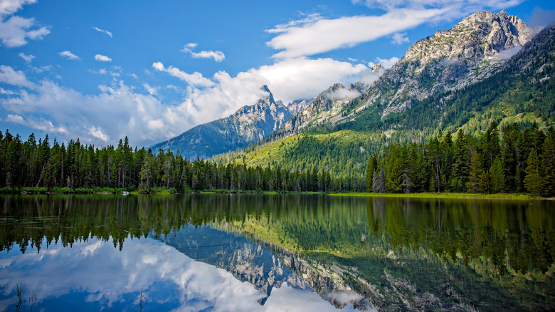 A mountain reflecting off the placid surface of String Lake surrounded by pine trees