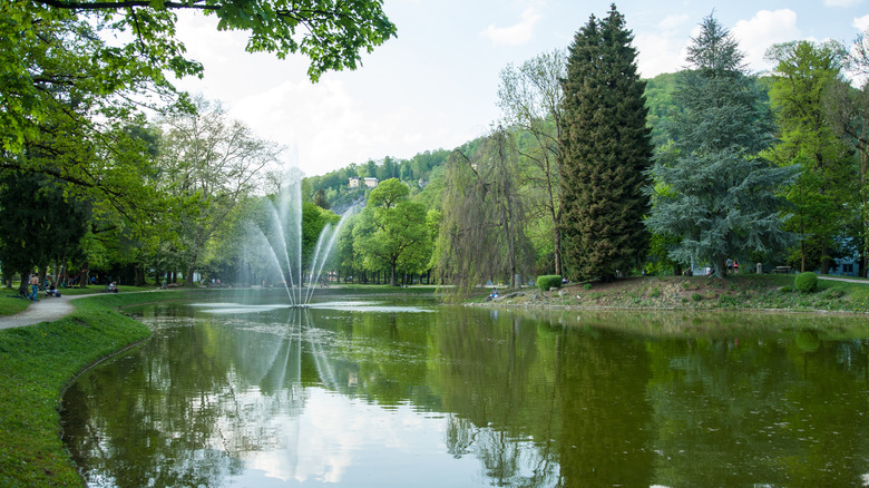 Fountain in green pond, Volksgarten, Salzburg