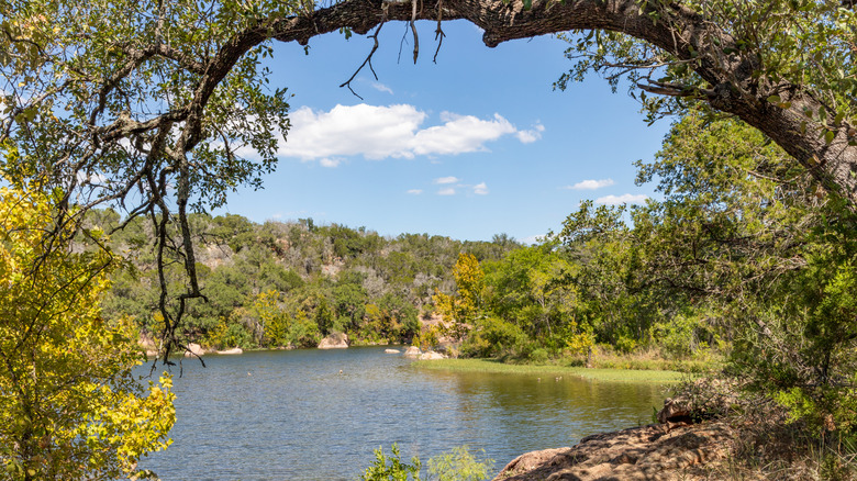 Trees framing the Inks lake in Inks Lake State Park, Texas.