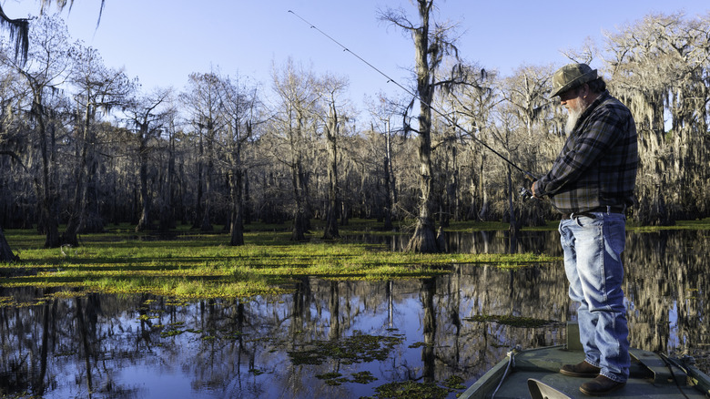 Fishing at Caddo Lake on the border between Louisiana and Texas.