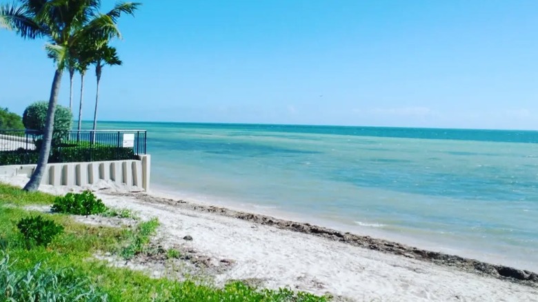 Turquoise water and white sand at the Key West Nature Preserve