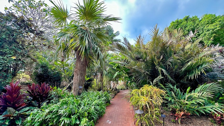 Plants and pathway in West Martello Tower Botanical Garden