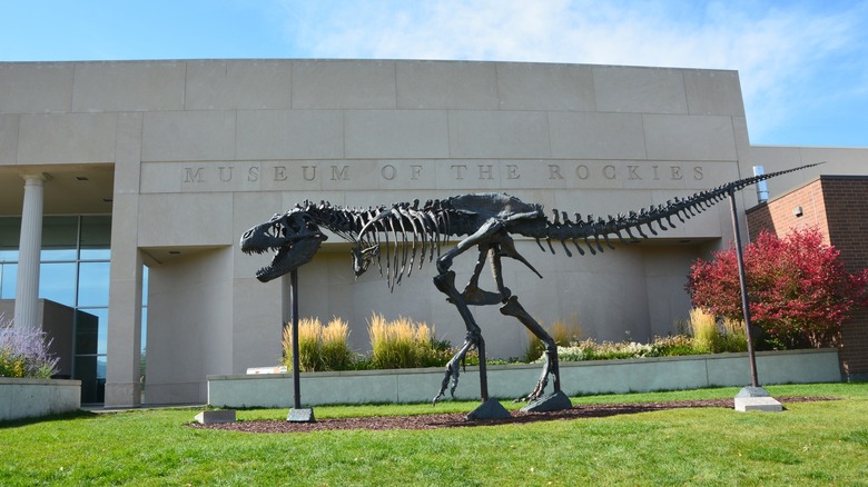 Bozeman's Museum of the Rockies