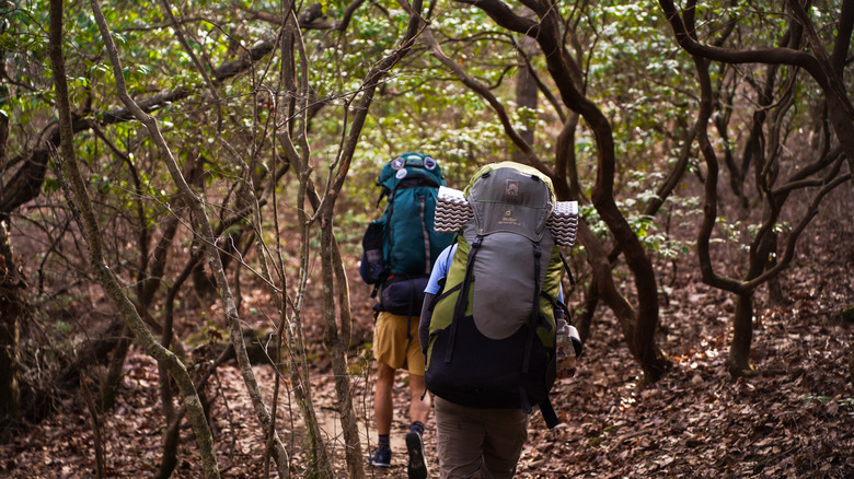 Two hikers on Appalachian Trail in Georgia in December
