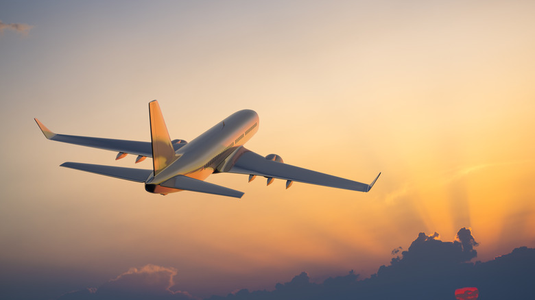 Plane flying in early morning