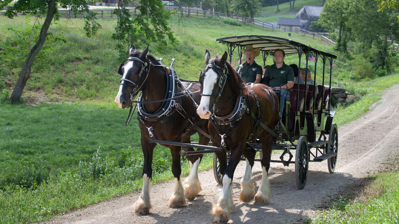 Horse-drawn carriage in Hermann