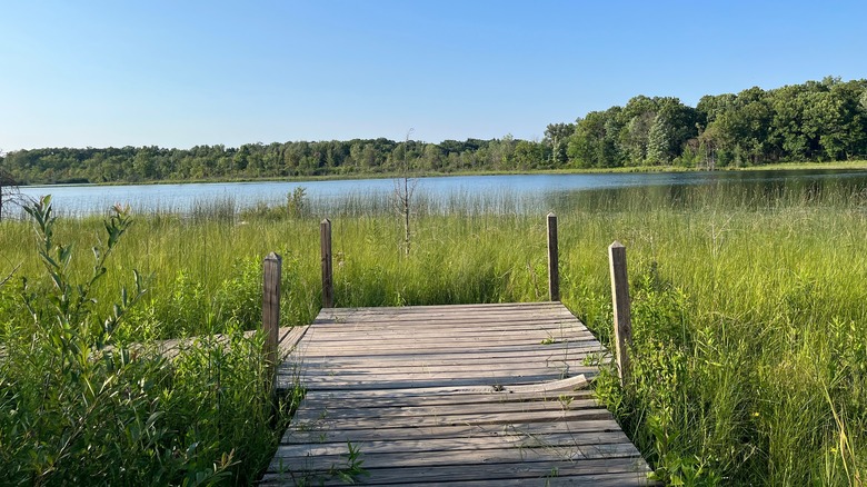 Paw Paw's Portman Nature Preserve