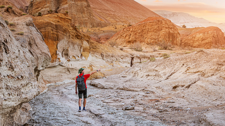 A hiker in a remote landscape