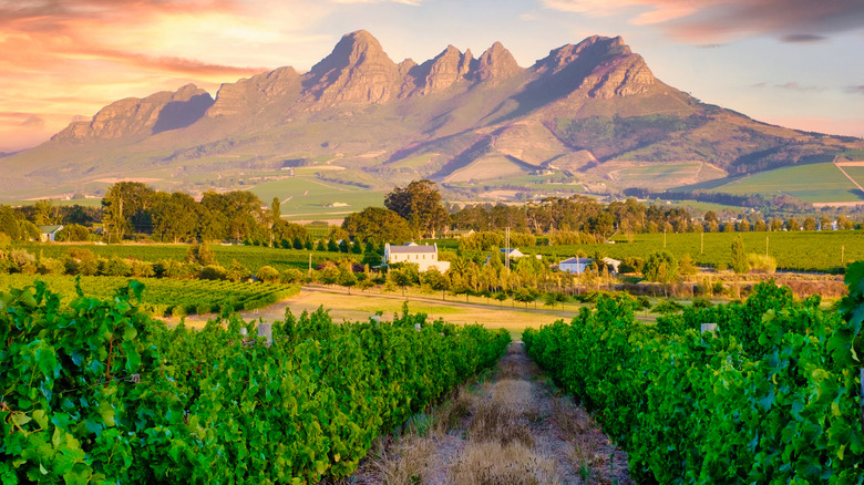 Mountains in Franschhoek, South Africa