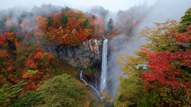 Waterfall in Nikko, Japan