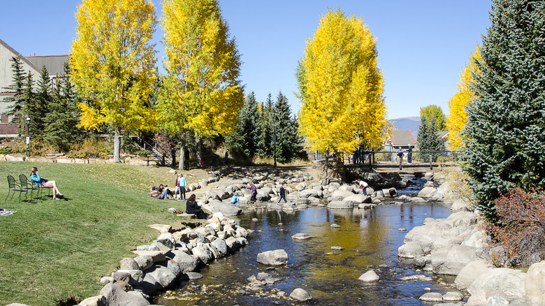 Fall foliage by the river in Breckenridge, Colorado